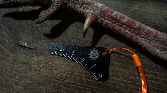 Early Season Turkey Hunting: Tips and Strategies for Success